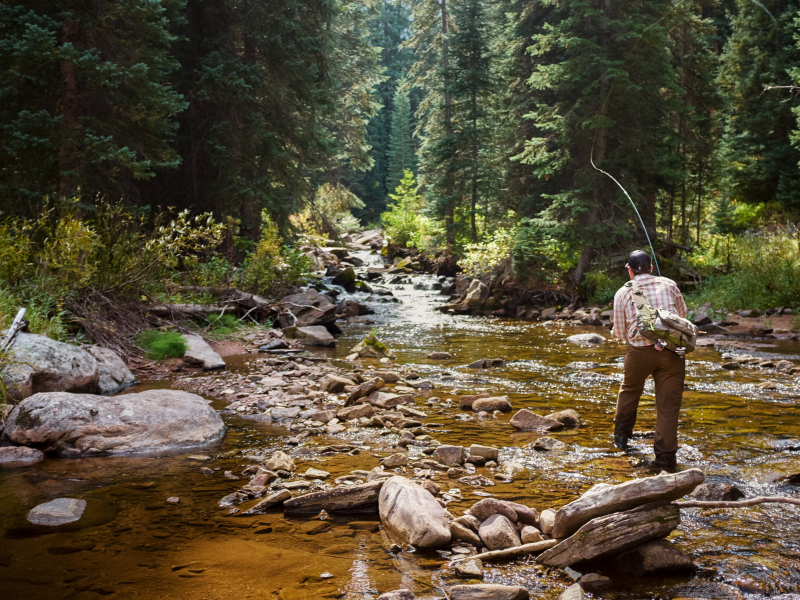 Fly fishing in Vail and Beaver Creek