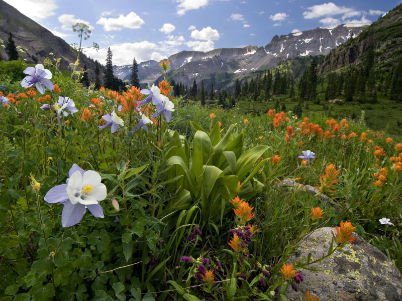 Summer in Vail and Beaver Creek