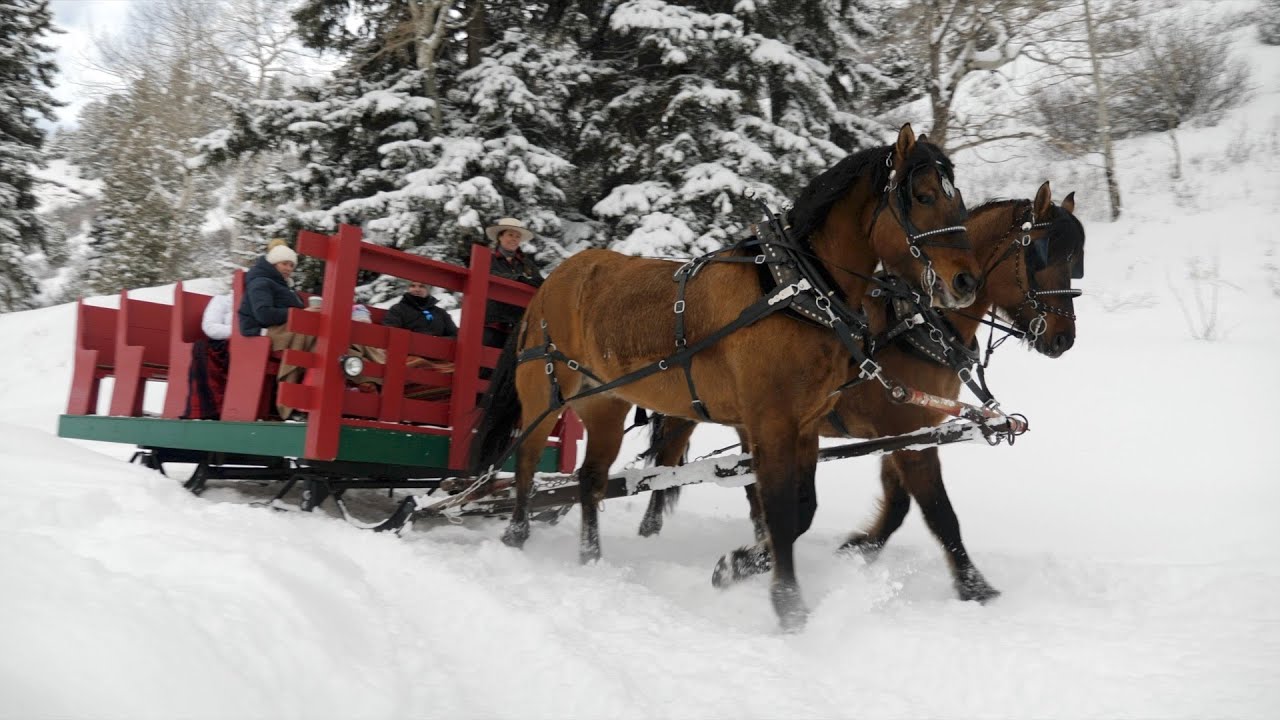 Sleigh Ride 2