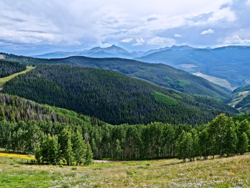 beaver creek in the summer