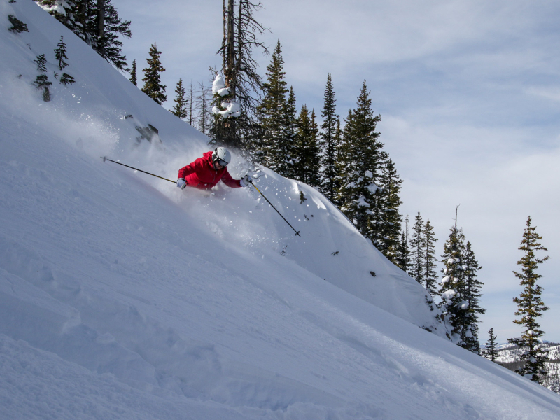 Powder Cat Skiing