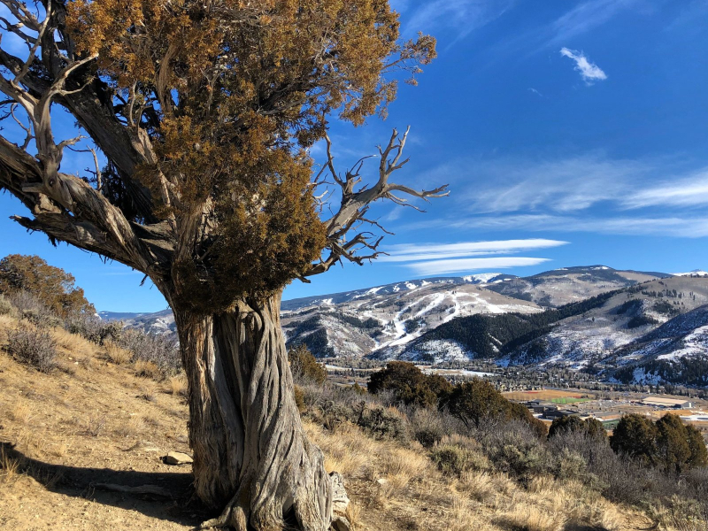 Edwards | Moving Mountains Vail