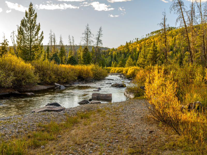 Fall in Steamboat | Moving Mountains