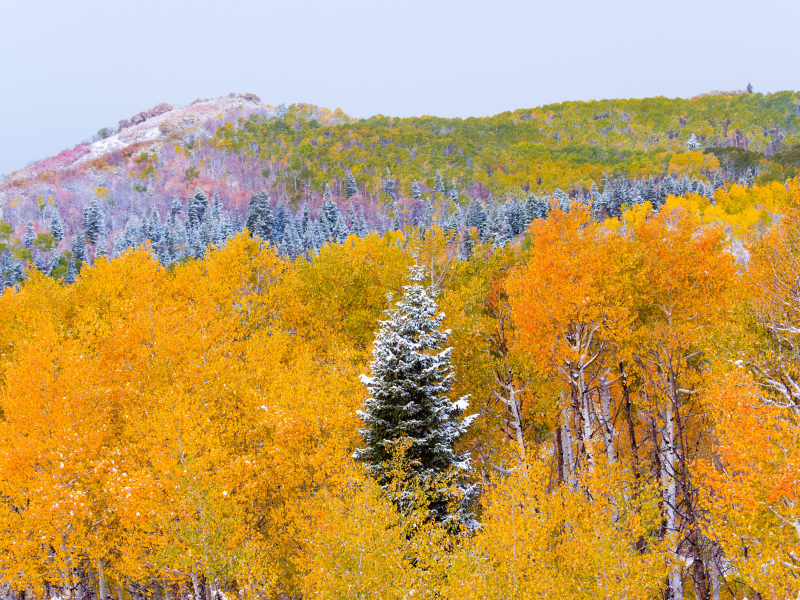 Fall in Steamboat Springs | Moving Mountains