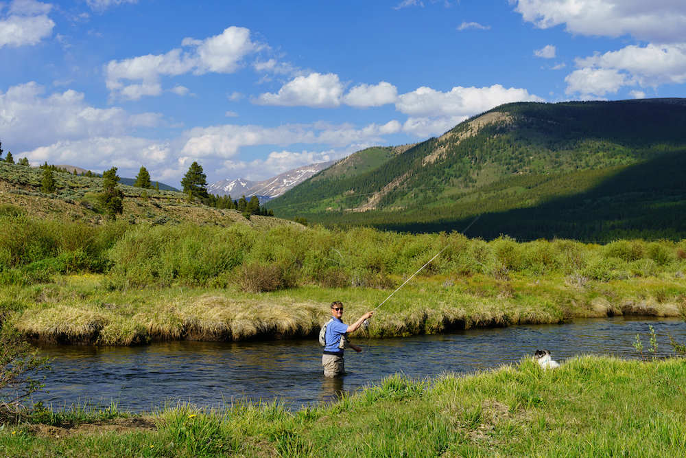 fly fishing colorado summer