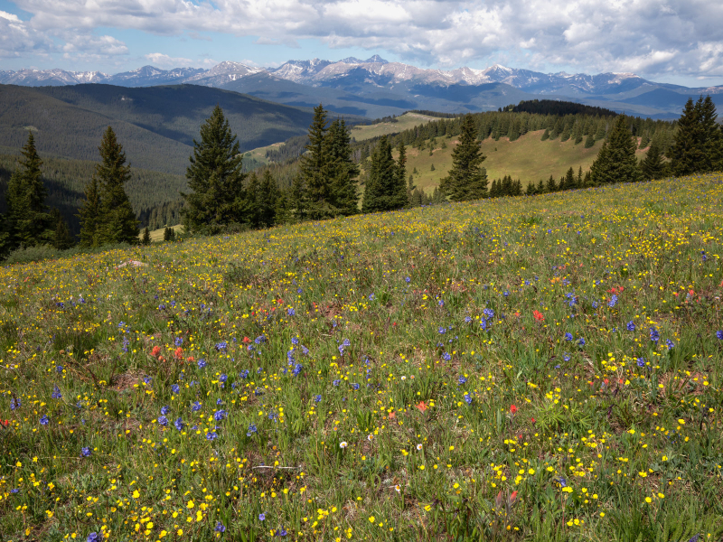 Hiking in Colorado