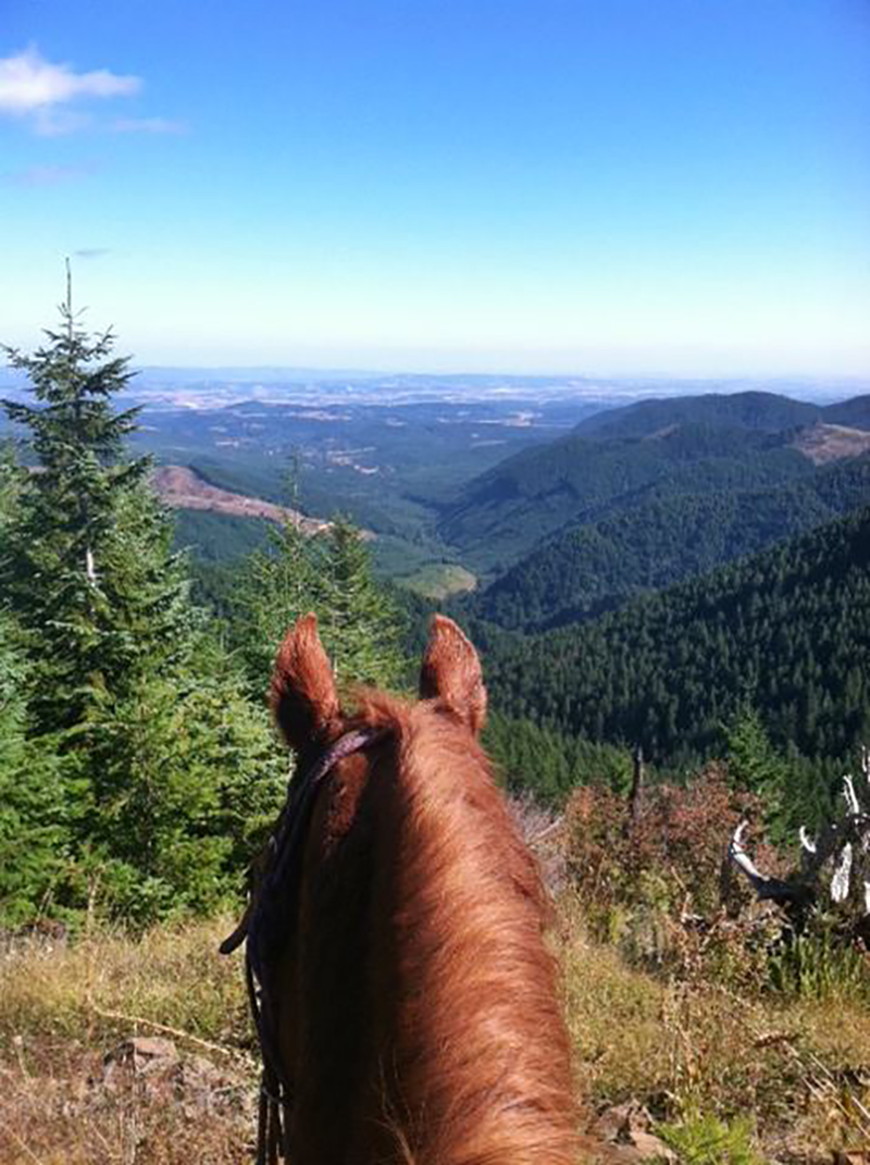 Steamboat Horseback | Moving Mountains