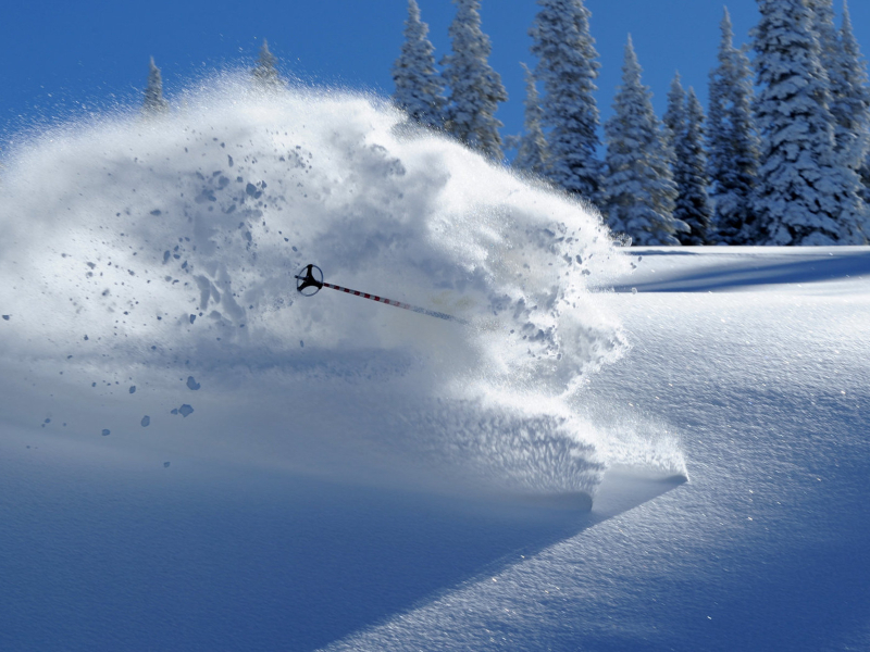 Powder Skiing | Moving Mountains