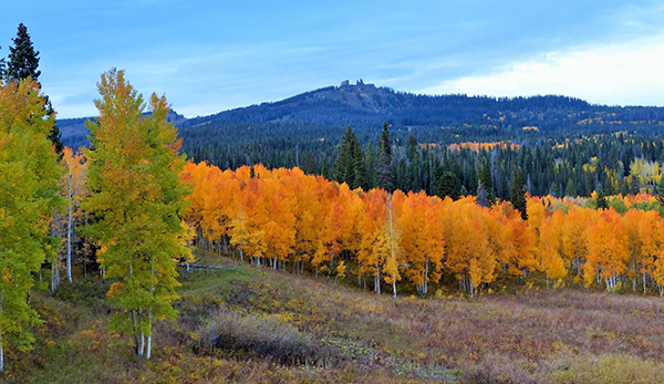 Rabbit Ears Pass Fall Colors, Steamboat Springs
