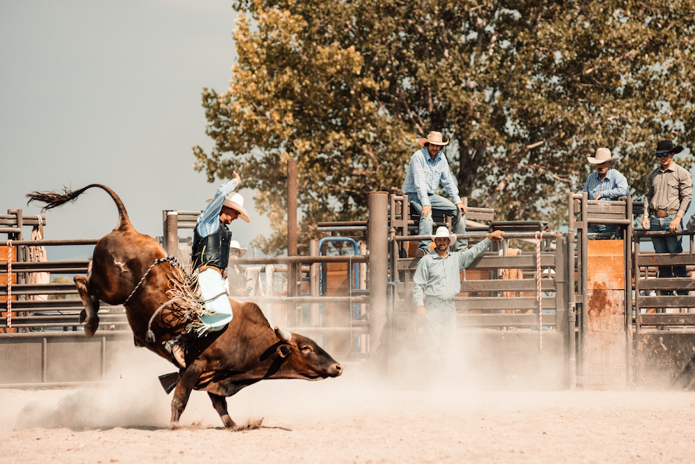 rodeo colorado