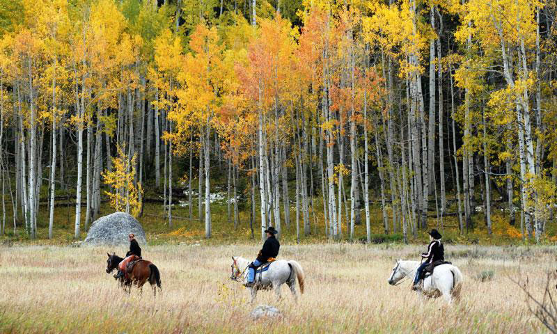 steamboat horseback | Moving Mountains