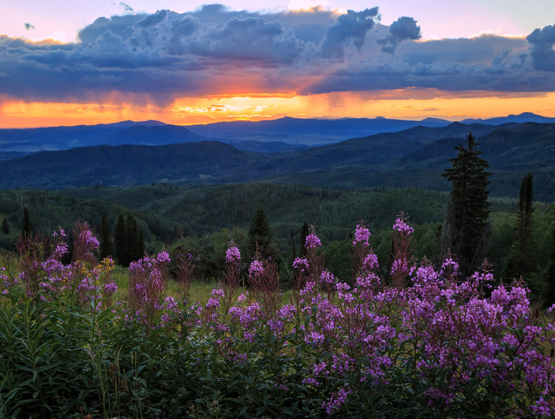 Buffalo Pass Summer