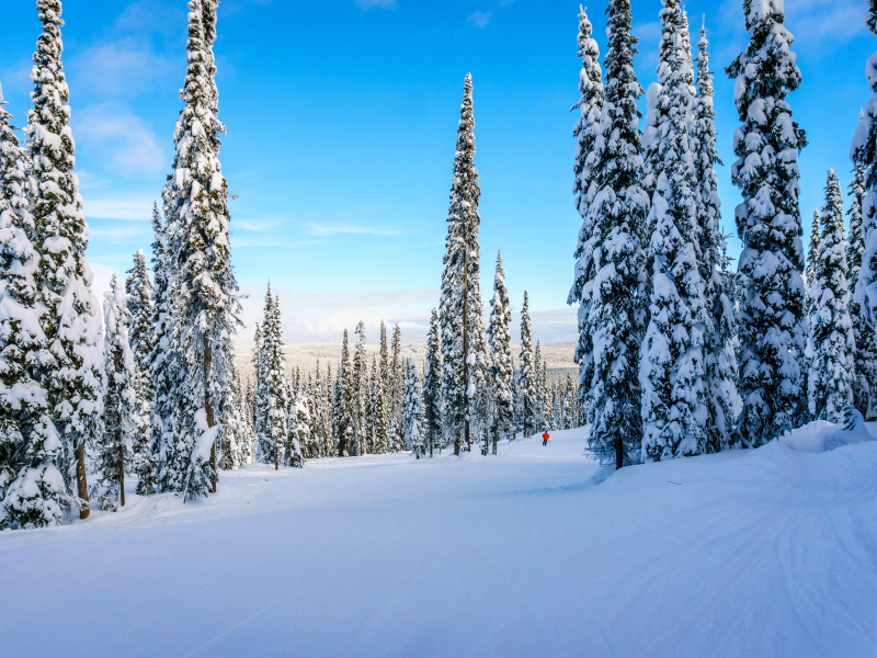 Steamboat Snow | Moving Mountains