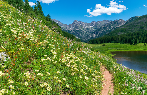 Piney Lake