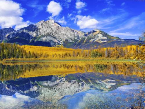 Fall foliage in Vail