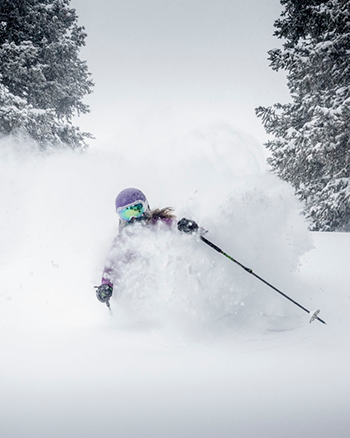 Vail's China Bowl Powder