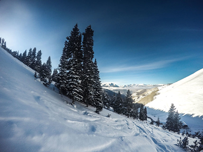The Back Bowl