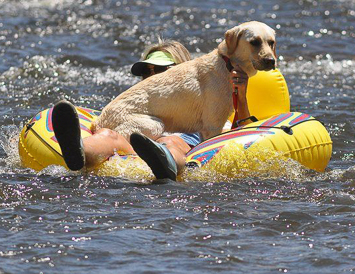 Tube the Yampa | Moving Mountains Tube the Yampa | Moving Mountains